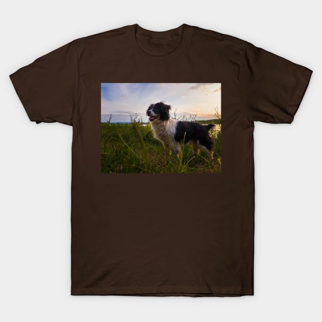 evening walk T-Shirt by psychoshadow